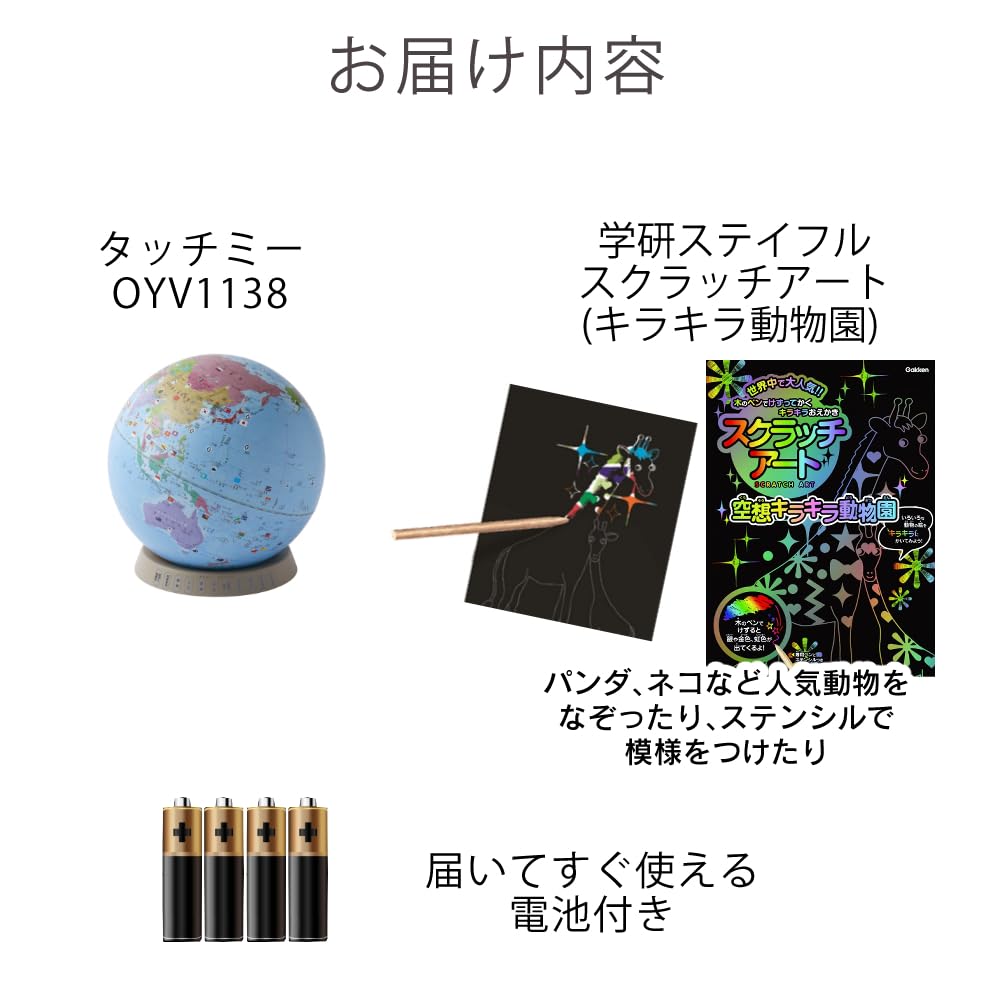 Amazon.co.jp: レイメイ藤井 地球儀 しゃべる国旗付地球儀 & カルタ