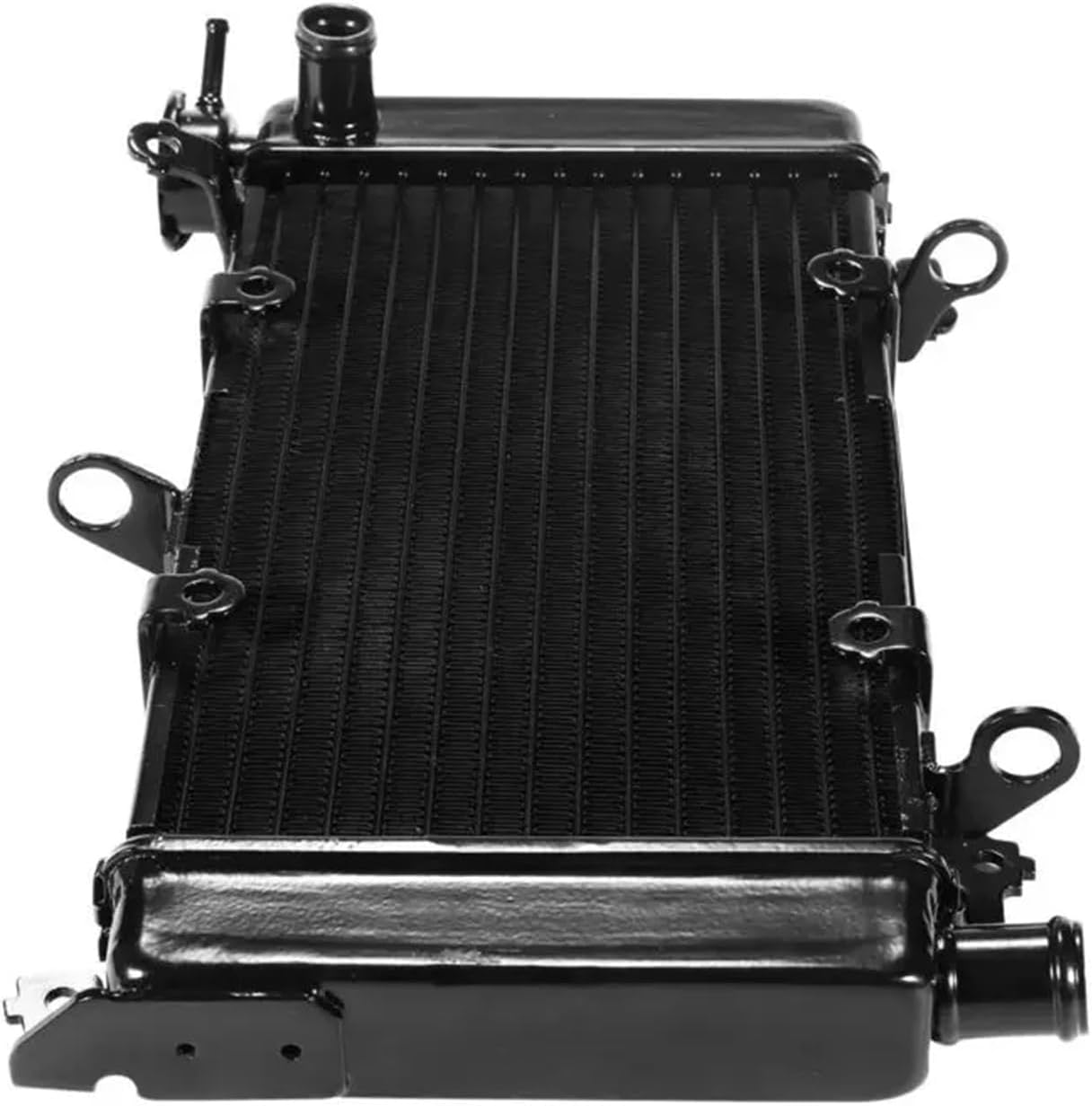 WHAT WE WANT TAKIBIDAIMITAINATABLE (ナラ