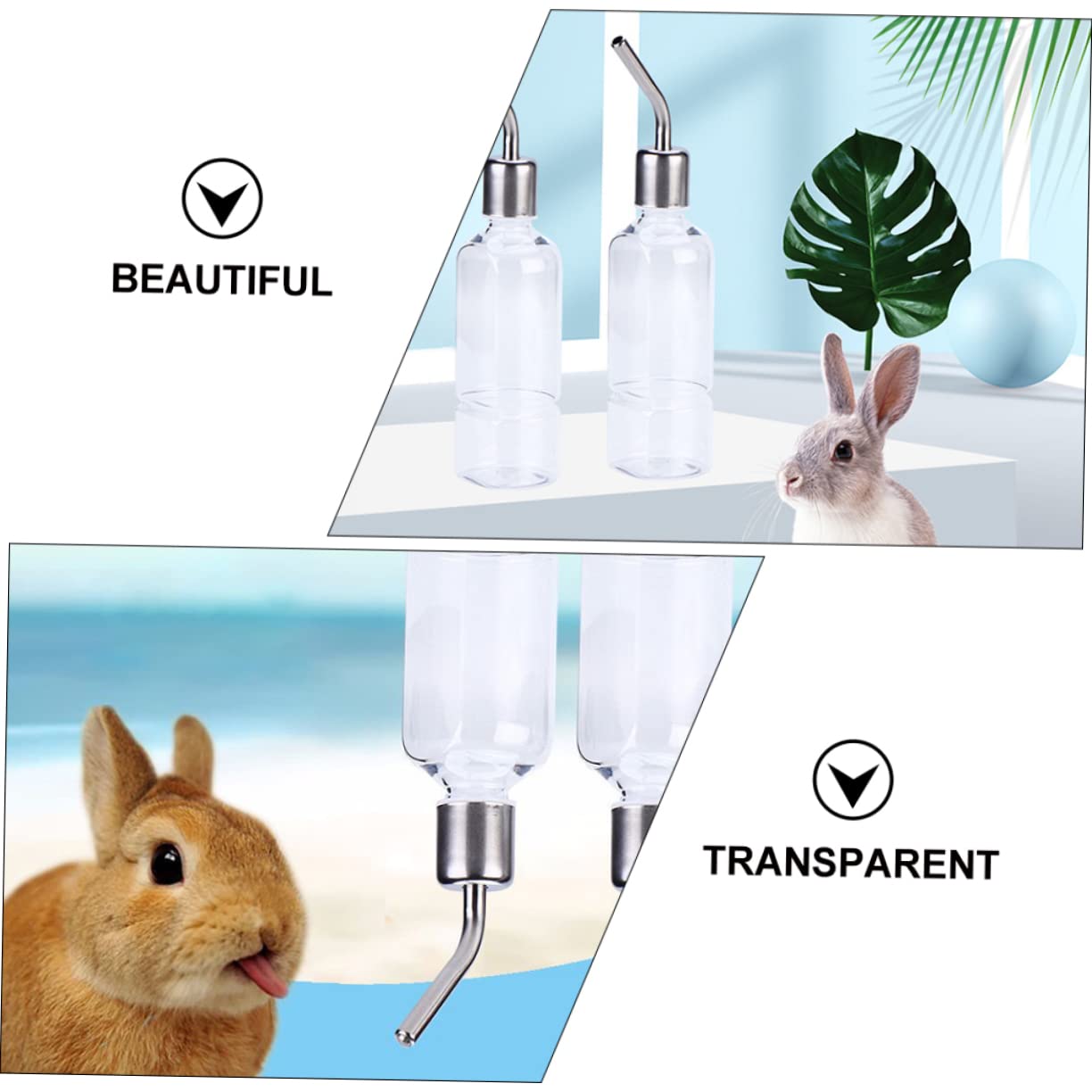 3 Set Di Dispenser Dacqua Portatile Per Porcellini Dindia Bottiglia Per Bevande in Acciaio Inossidabile Sicura E Facile Da Usare 2 Pezzi * 3