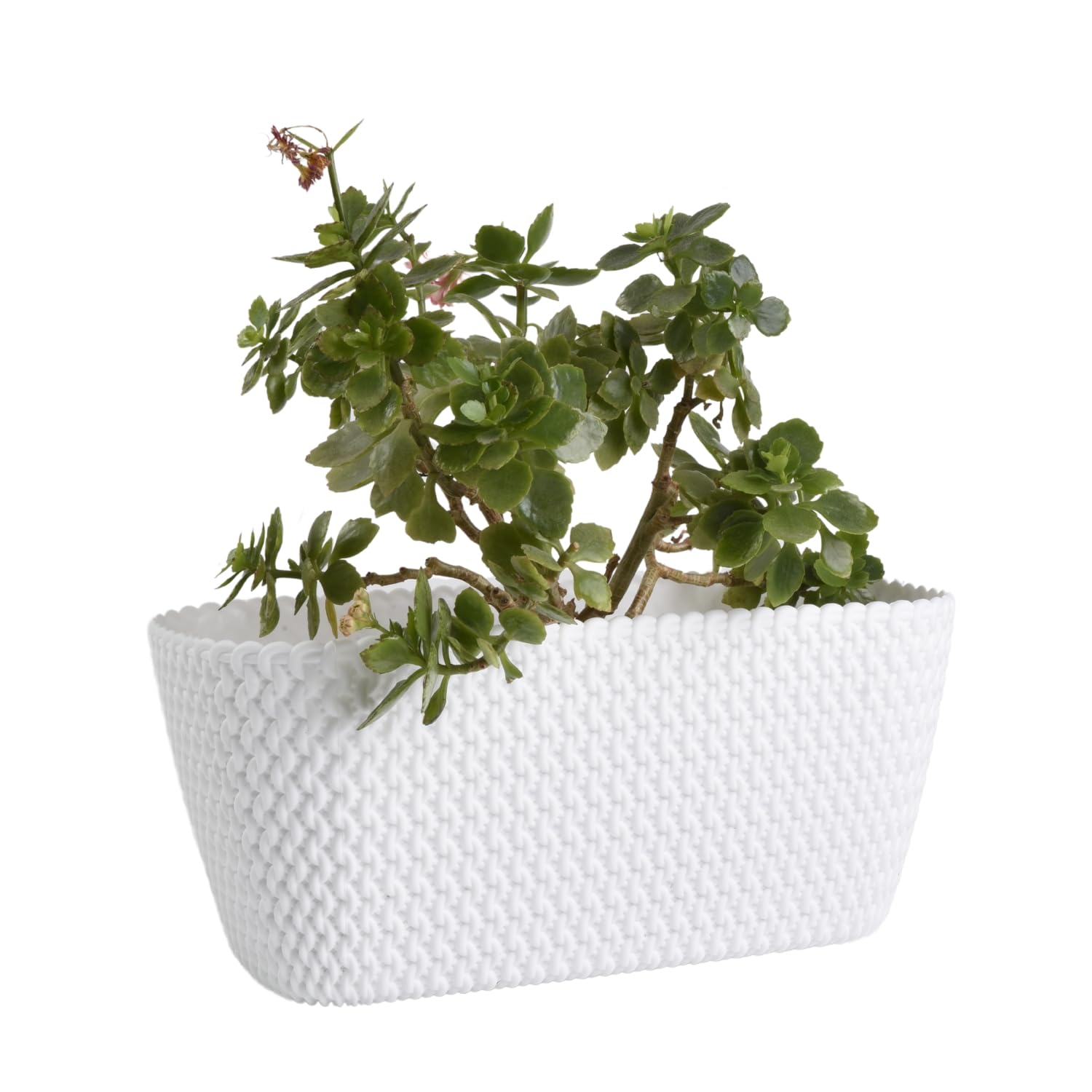 B2C Rectangular Planter Long Flower Pot Indoor Outdoor Patio Plant Case Plastic Woven Rattan knitted braided pattern Home & Garden (White, 40cm)
