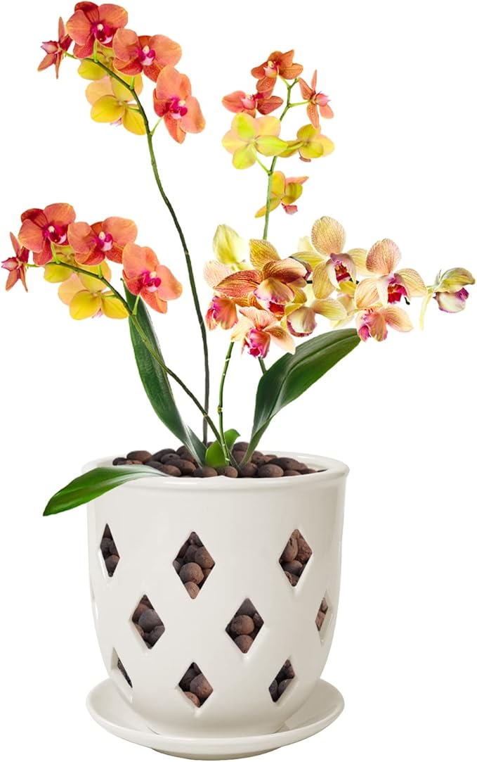 Ceramic Orchid Pot, 6in Orchid Pot with Holes, Decorative