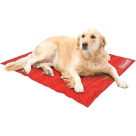 Coleman cooling dog bed Clearance