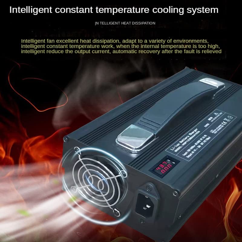 12v 4 0A 24V 30A 20A Chargeur 29. 2V 29.4V 14.6V 20A 25A 12.6V 30A 16.8V 40A for LIHIUM ION LIFEPO4 LI ION Lto Acide de Plomb de la Batterie (Color : 6S 16.8V LTO, Socket Standard : 30A)