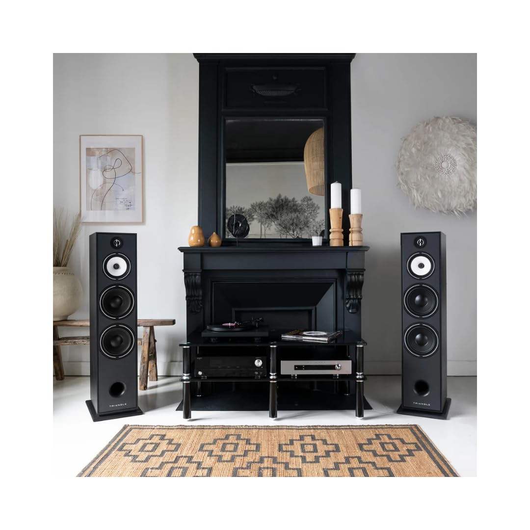Triangle - Enceinte Colonne Hi-FI BOREA BR10 - Puissance Admissible 200W - Rendement 92 DB/W/m – Haut-parleurs 21 cm – Polyvalente Musique et Home-Cinéma - 245 x 1110 x 380 mm - Noir (Pièce)