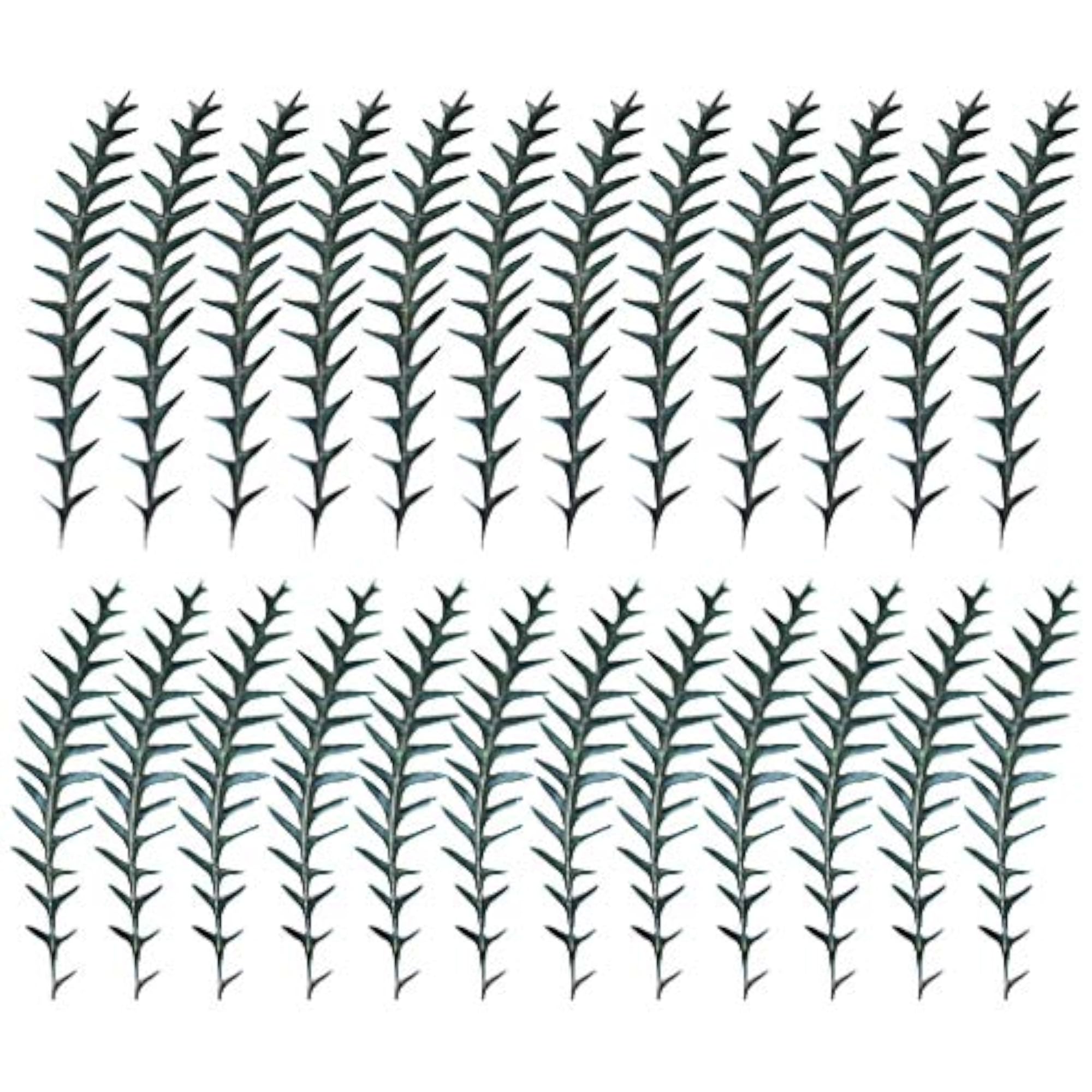 Dried Stem Natural Frame Decor Preserved Stems