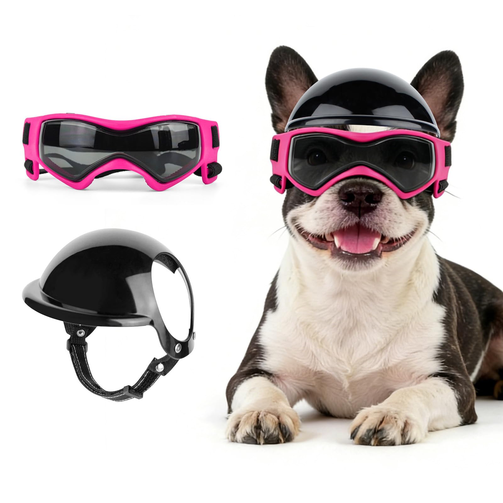 Lunettes de soleil pour chien LESYPET en balade moto et sorties plein air