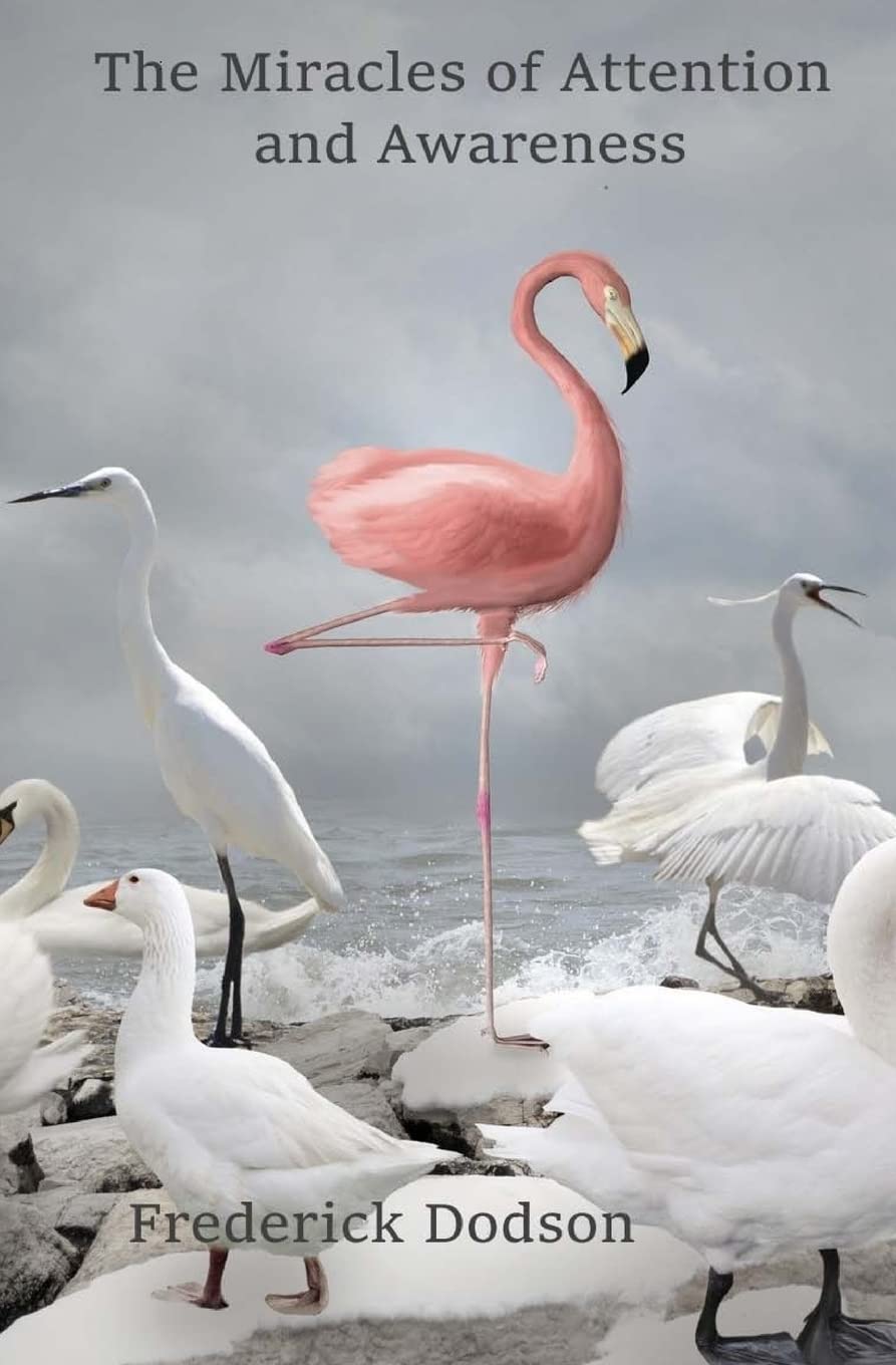 The Miracles of Attention and Awareness Paperback – July 3, 2016