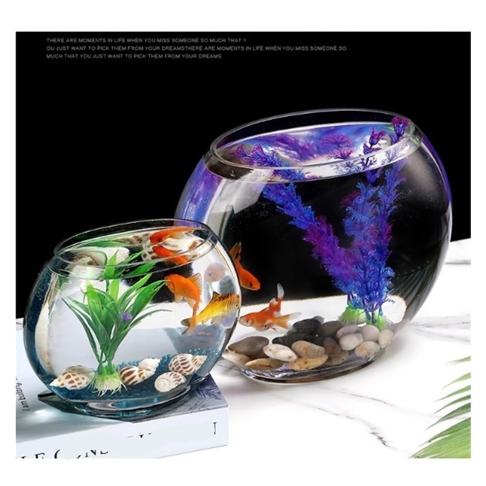Aquarium Kreatives ovales Glas-Aquarium for kleine Goldfische, transparent, als Dekoration for Zuhause oder Schreibtisch.(13.5cm)