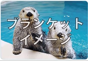 Amazon.co.jp: 限定鳥羽水族館 ラッコメモリアルBOOK