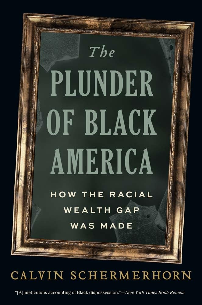 The Plunder of Black America: How the Racial Wealth Gap Was Made