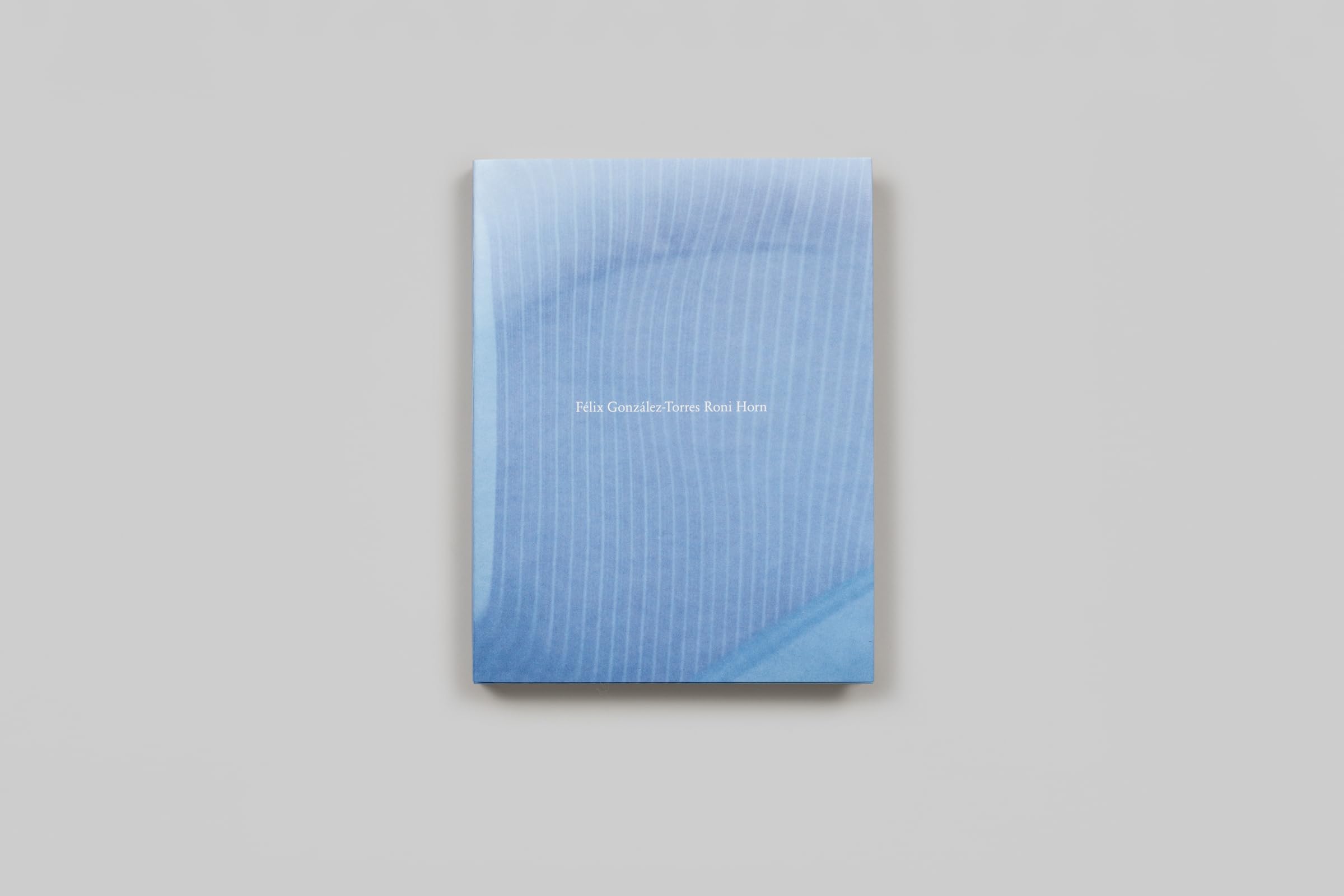 Félix González-Torres / Roni Horn