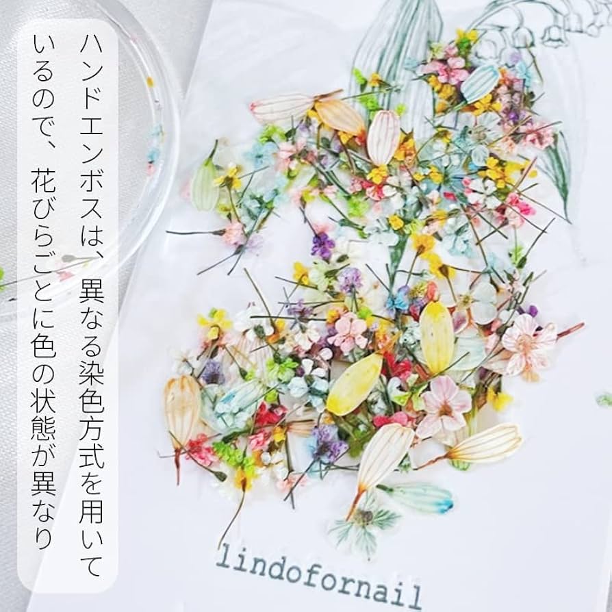 Amazon.co.jp: AAGWW ドライフラワー ネイルパーツ 押し花 天然