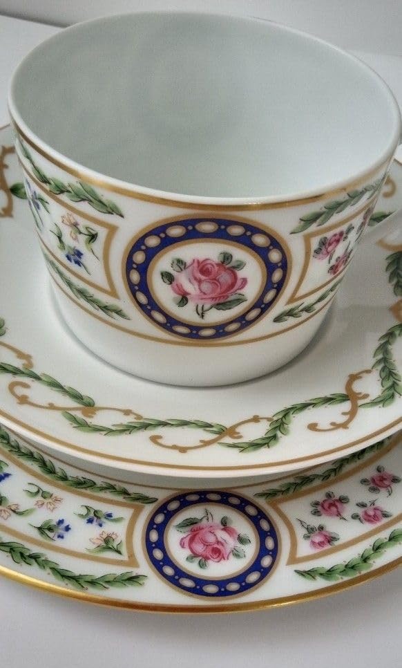 アビランド リモージュ ルーブシエンヌデザートプレート9枚セット皿