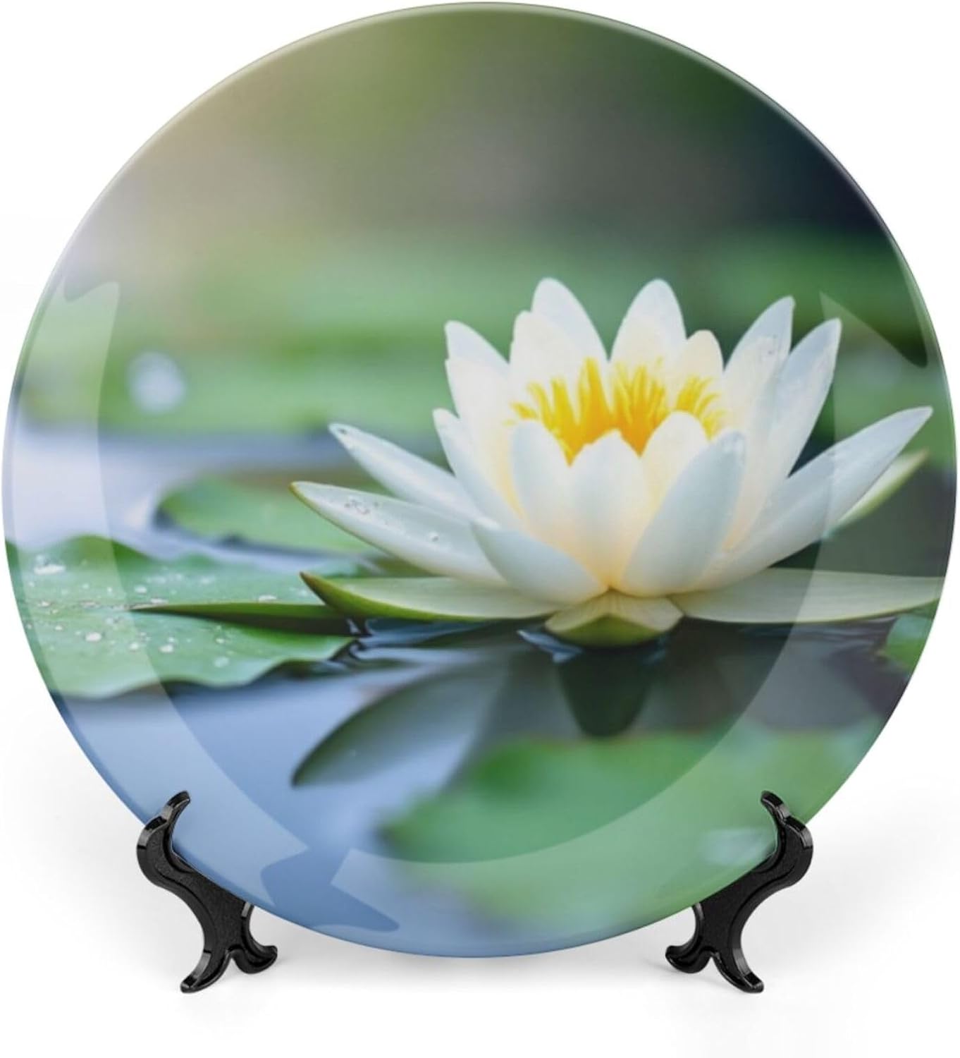 Hummingbird Theme Decorative Ceramic Plate Round Porcelain Plate,10 inch,Floral Stained Glass Pattern,for Decorative Ornaments Giving Plates,1 Plate with 1 Display Stand,Red Green