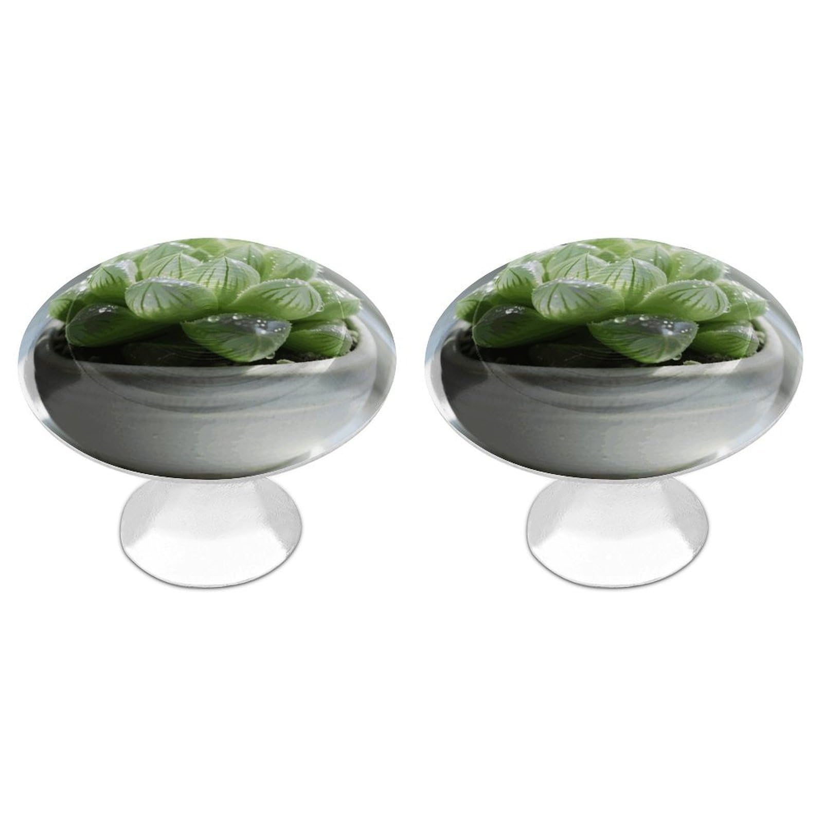 Fodpand White 2 Pack Cabinet Knobs 1.1 Inch Single Hole Drawer Pulls Handles Decorative Flowers Succulent Furniture Knobs For Dresser Kitchen Bathroom Cupboard Wardrobe Vanity Closet Door Hardware