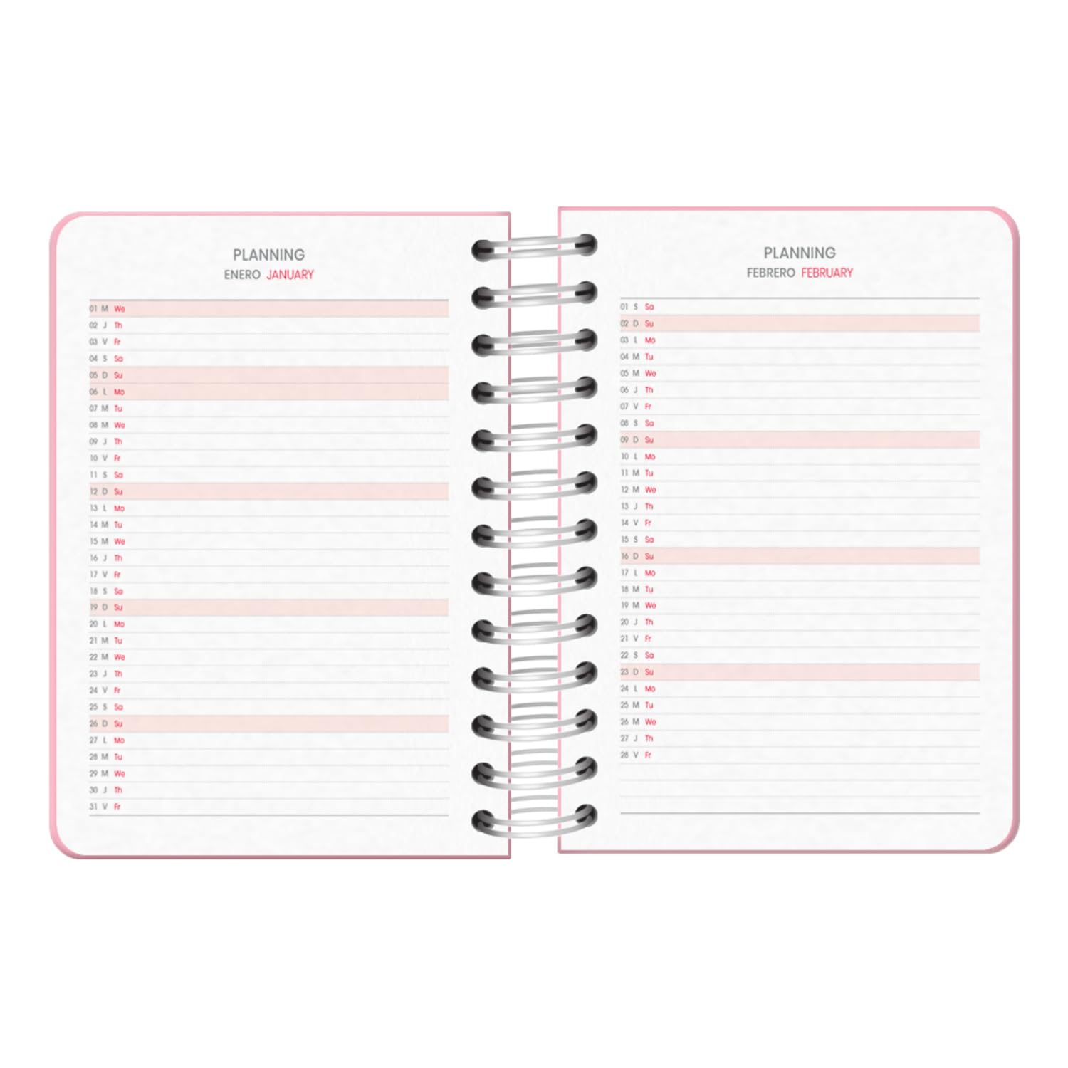 DOHE, School Diary 2024 2025, Day Page, Size A6 (12 x 17 cm), Ring Closure and Rubber, Spanish and English, 4 Sticker Pages - Image 4