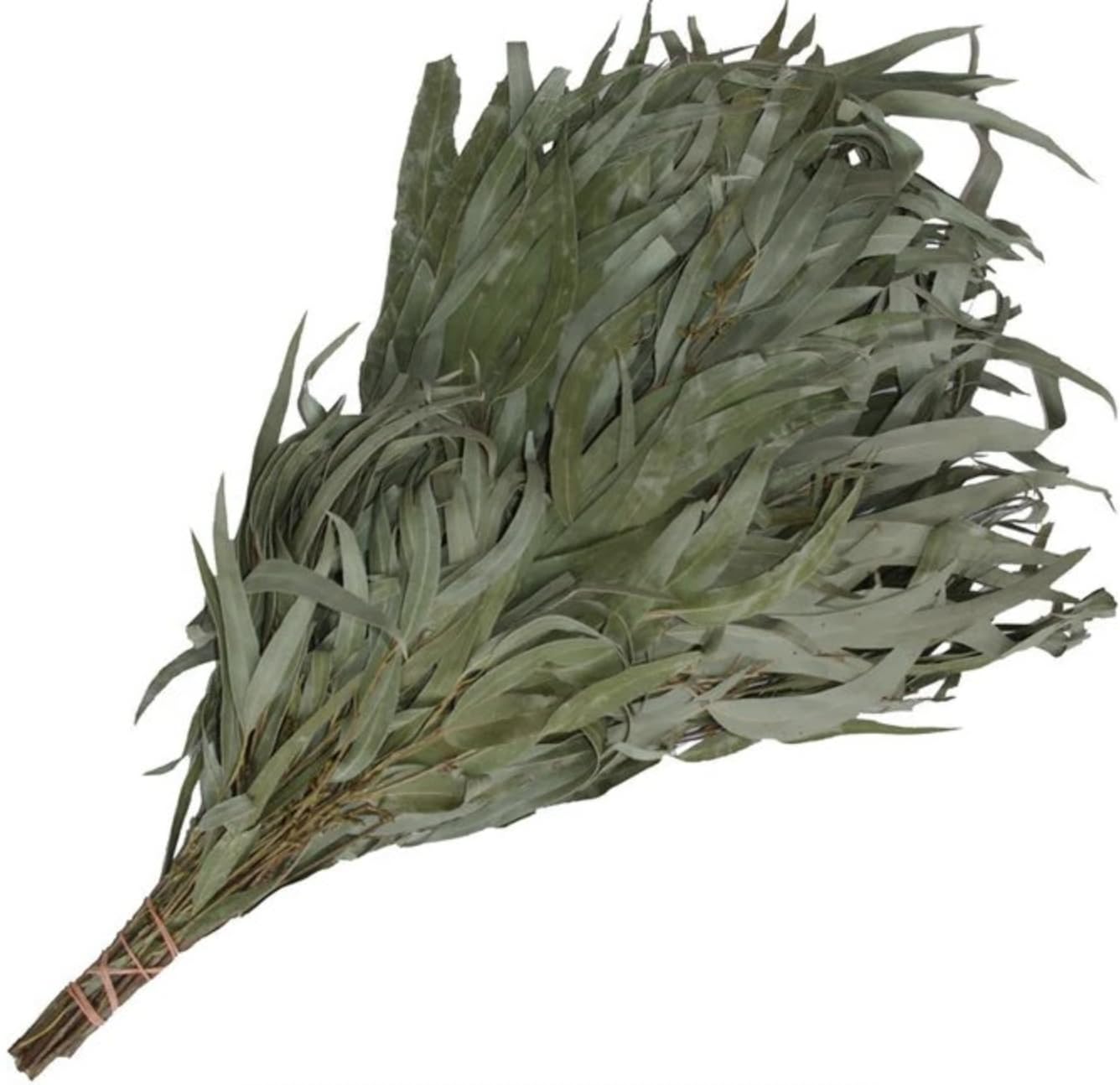 Saunabesen aus Eukalyptus – Frischer Saunaaufguss-Besen für Rituale & Wellness – Naturprodukt zur Reinigung & Entspannung – 1–2 Anwendungen (5)