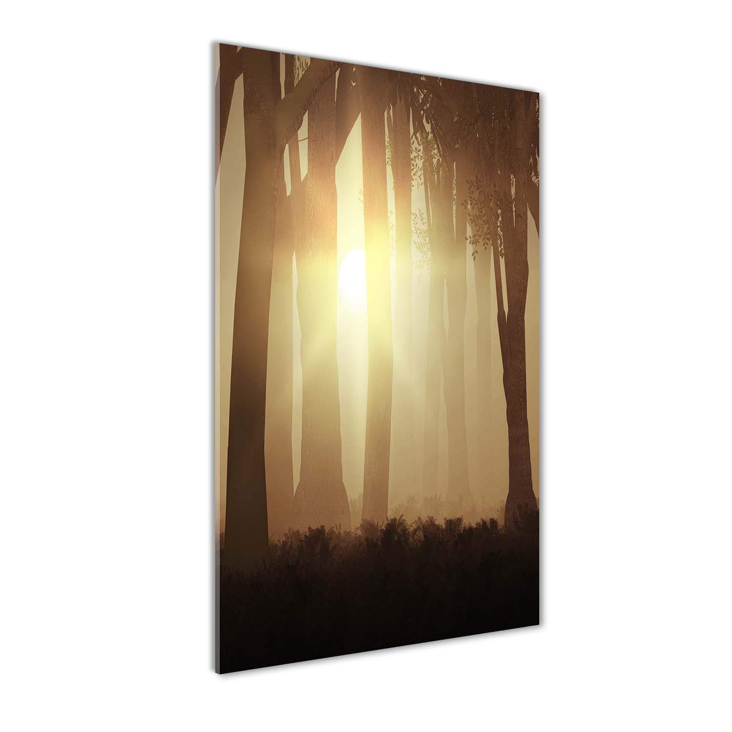Brouillard dans la forêt tableau verre 60x120 pour raviver un mur sombre de salon