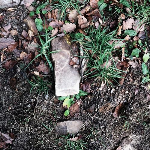 『Jqnfldqf The Audio & Ebook Library』のカバーアート