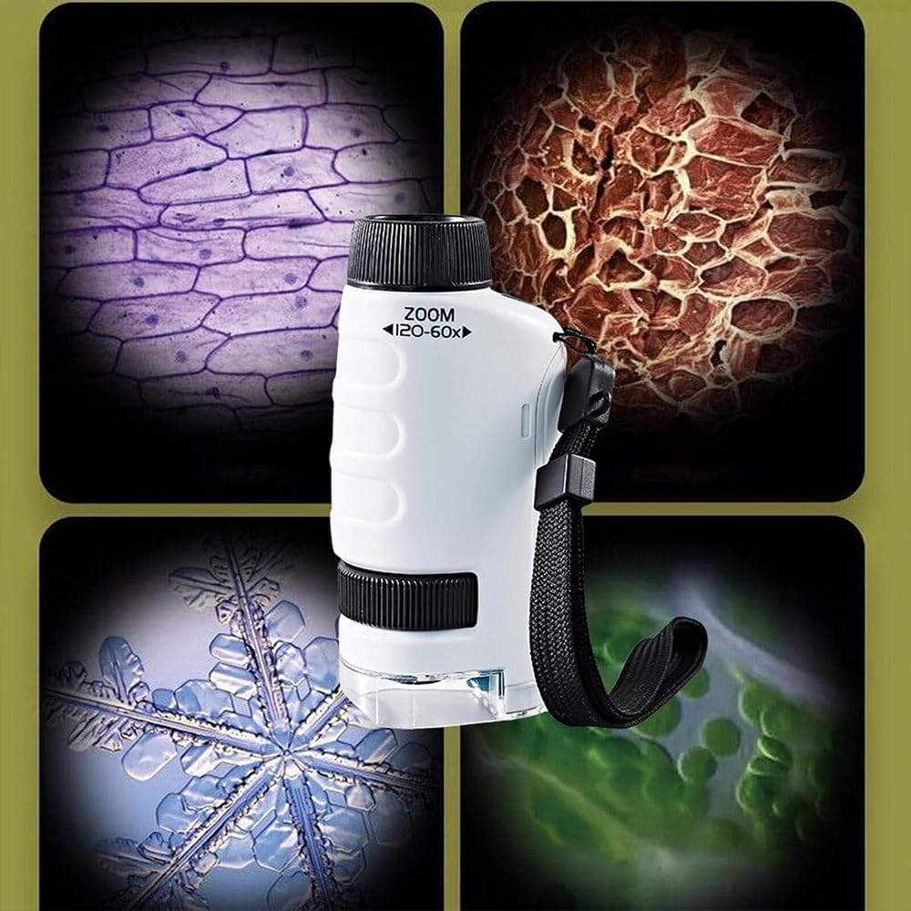 Mini Microscope Portable Pour Enfant – Grossissement 60x à 180x – Vert – Avec Sangle – Découverte Scientifique