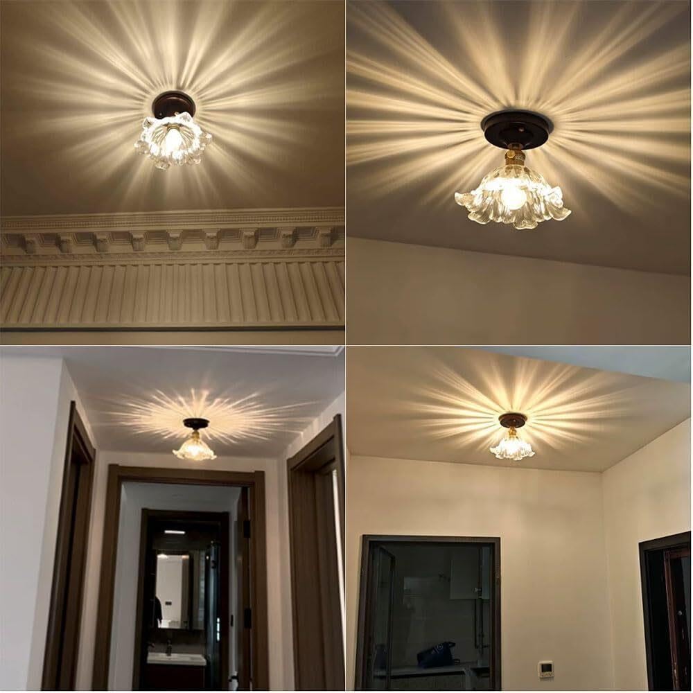 Lampada da soffitto for Ingresso con Paralume in Vetro Semplice