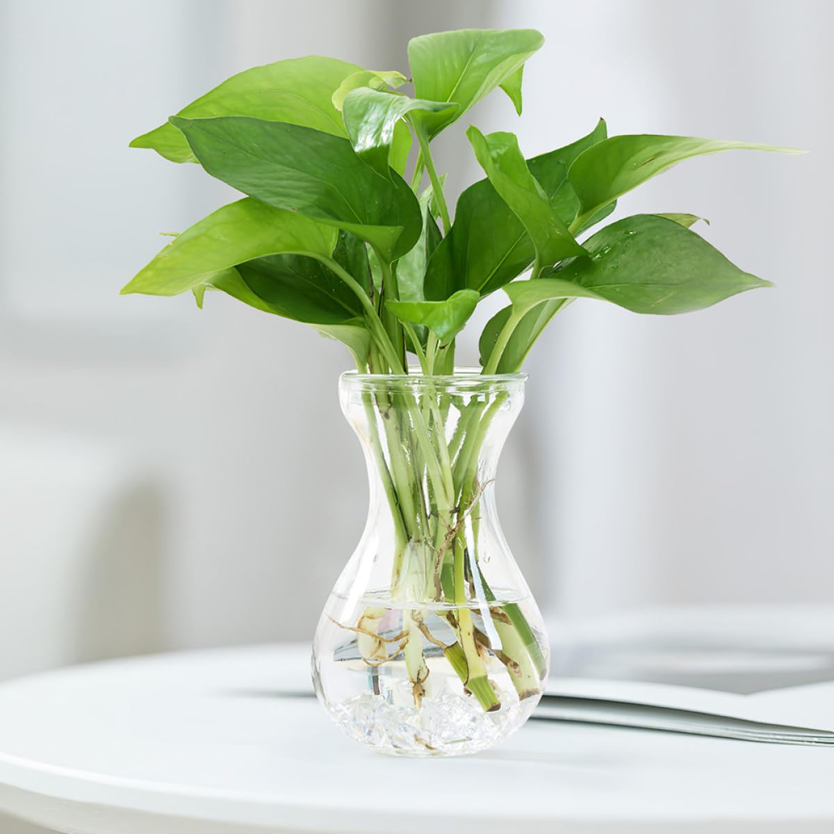 5 pièces Lot de Vases Verre Simples pour Jacinthe Pots de Propagation Hydroponique Vase Centre de Table Décoratif pour Maison et Bureau