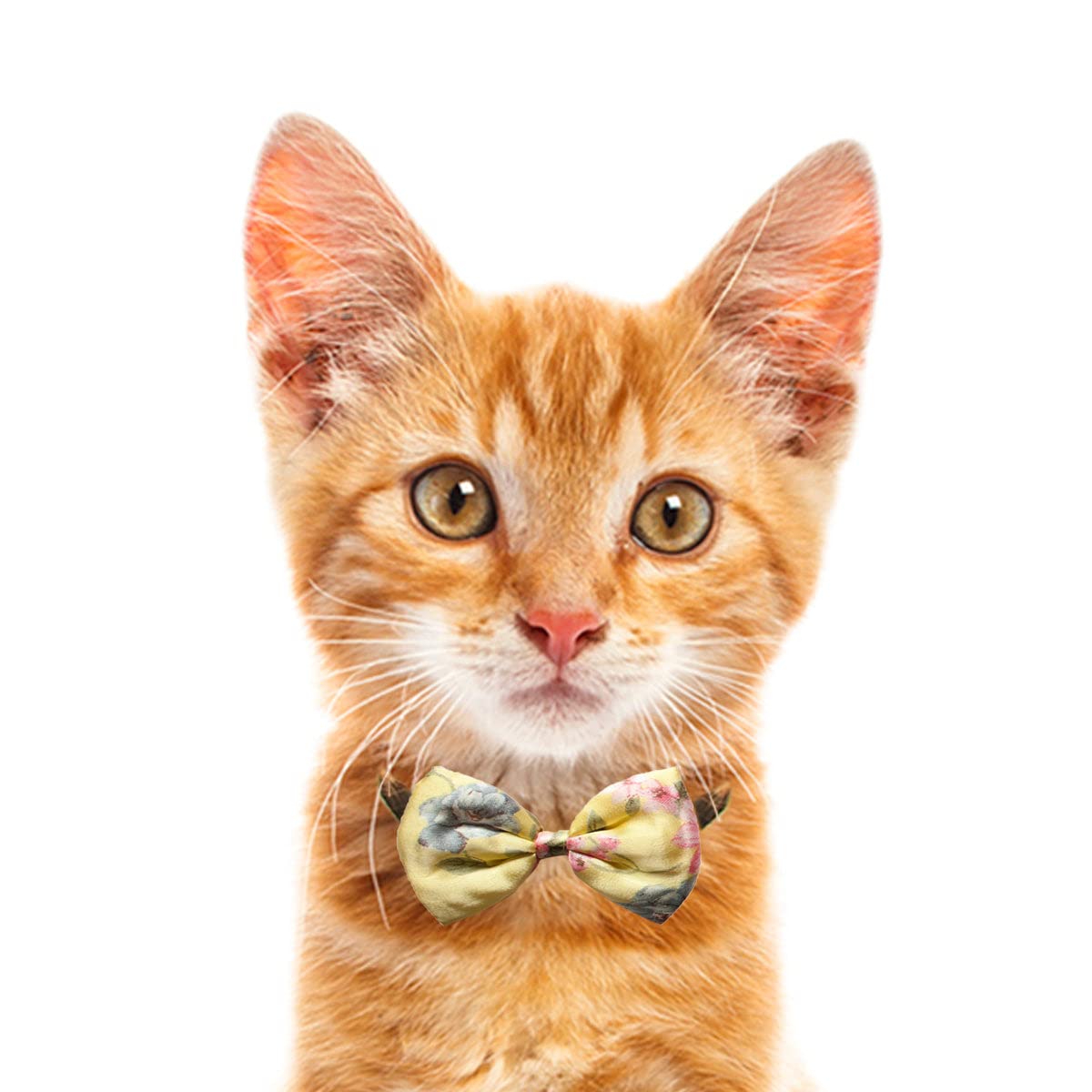 Ruse Pet Cat Bow Tie Zen Floral Printed Upcycled Satin Puffy Easy to Use Anti Chafing Elastic Strap Gift for Pets Cats Scarf Tie(Lemon/S-M) (B0BH447VT8) Amazon Price History, Amazon Price Tracker