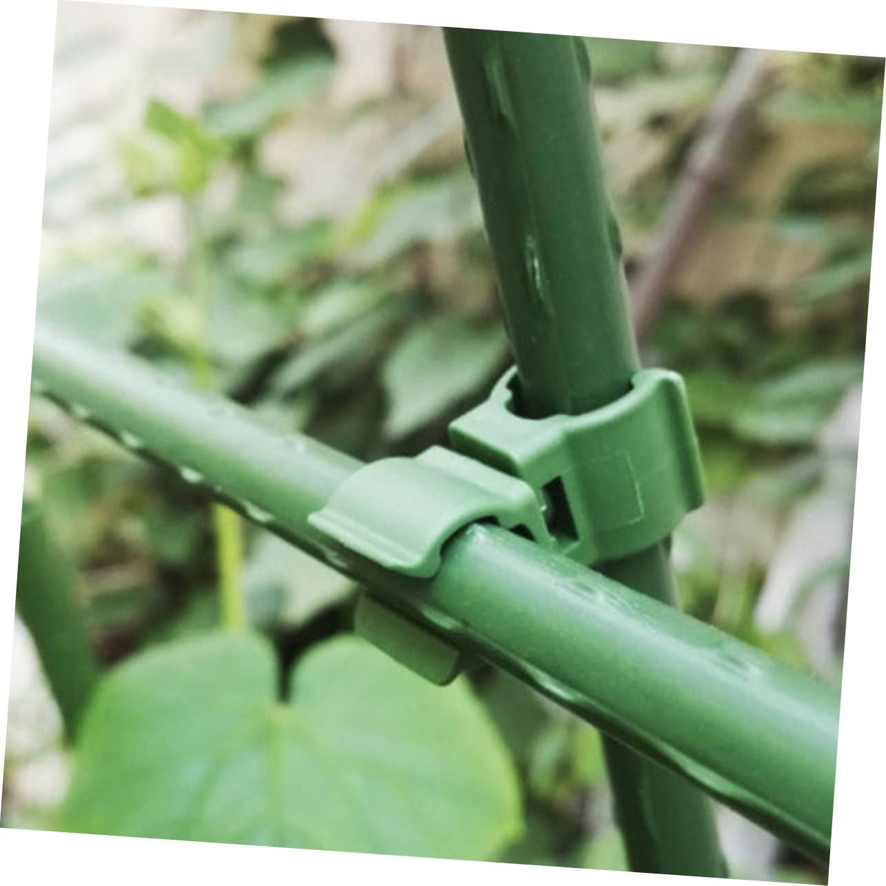 5 Sets Verstellbare Pflanzenstecker-Clips Rattan-kunststoffschnalle Unverzichtbar Für Obstgärten Gewächshäuser 50 Stück * 5