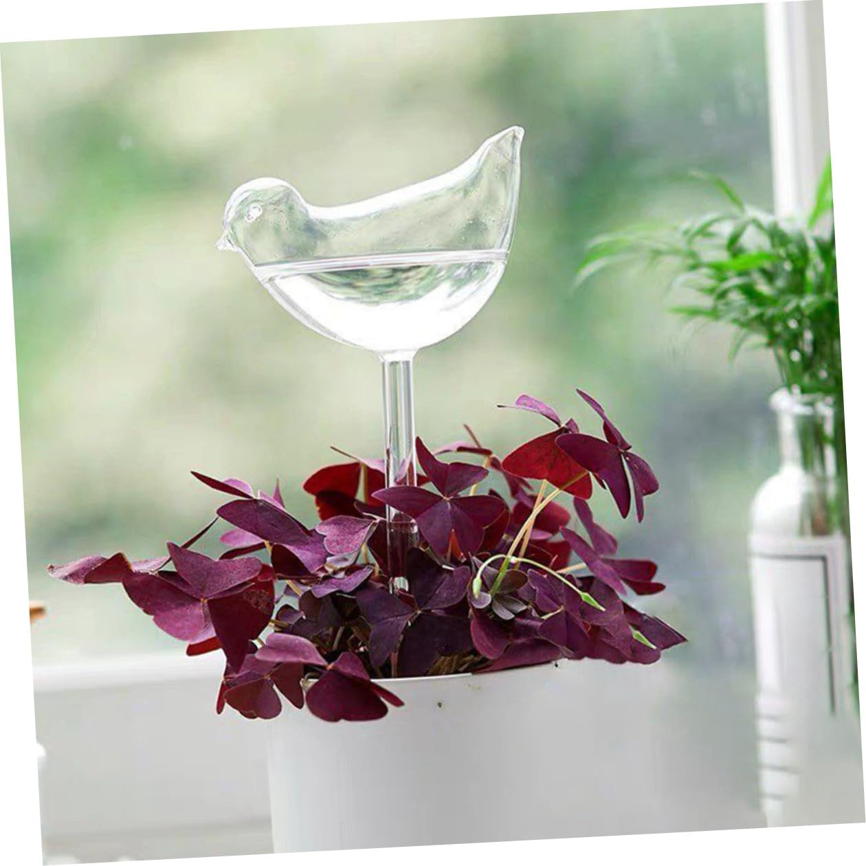 VICASKY Globes D'arrosage Automatiques en Verre Borosilicaté pour Plantes, Lot de 4, Facile à Utiliser et Auto-Irrigation, pour Voyages et Festivals