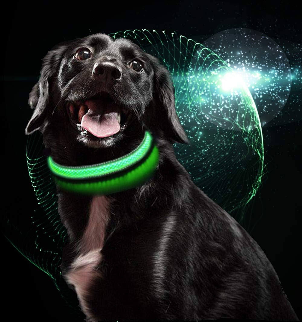 MASBRILL Webbing LED Dog Collar- USB Rechargeable Light up Collar-Flashing Light- Make Your Dog Visible and Safe- Far Away from Danger.…