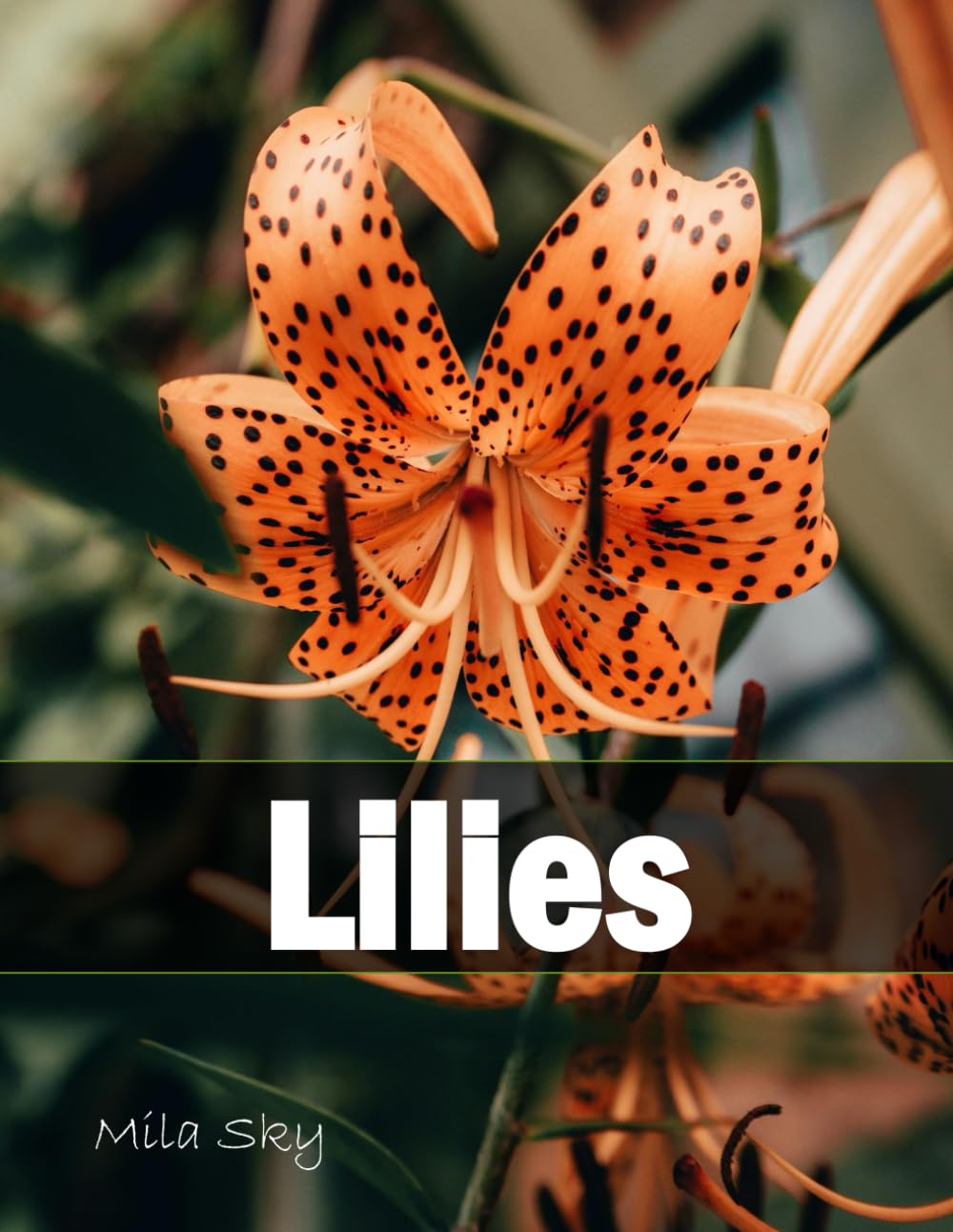 Lilies: A Stunning Coffee Table Collection of Flower Photography