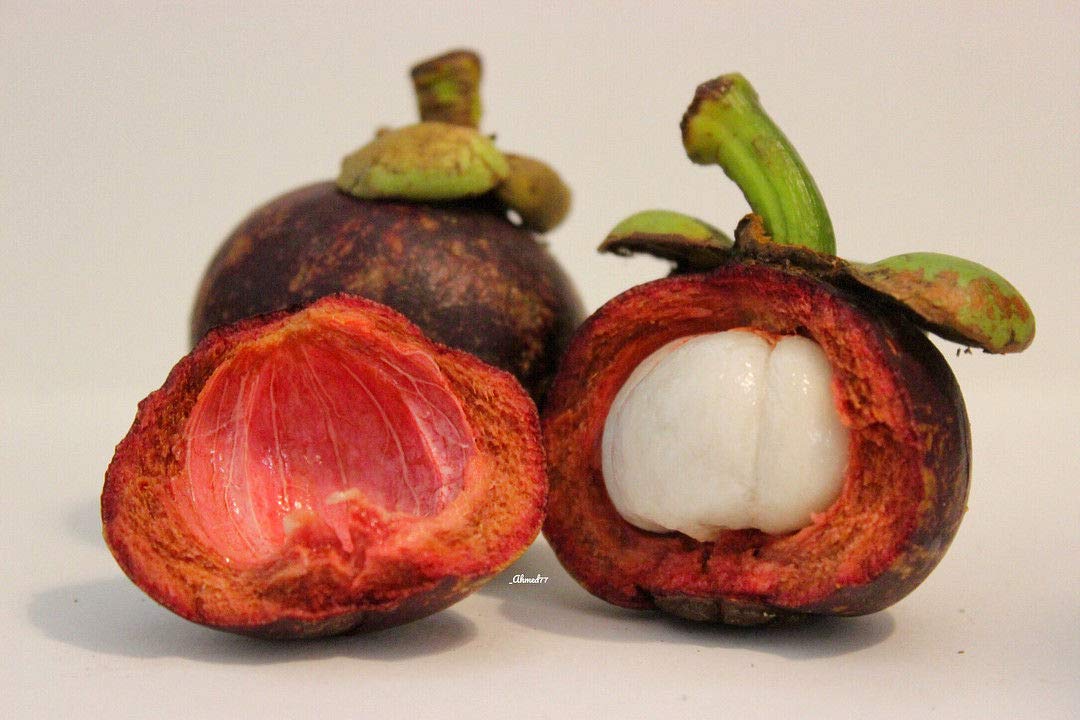 Portal Cool Mangostan-Frucht Seeds Mangostan-Baum Obst Erbstck Bio-Saatgut  10Pcs / Bag: Amazon.de: Garten