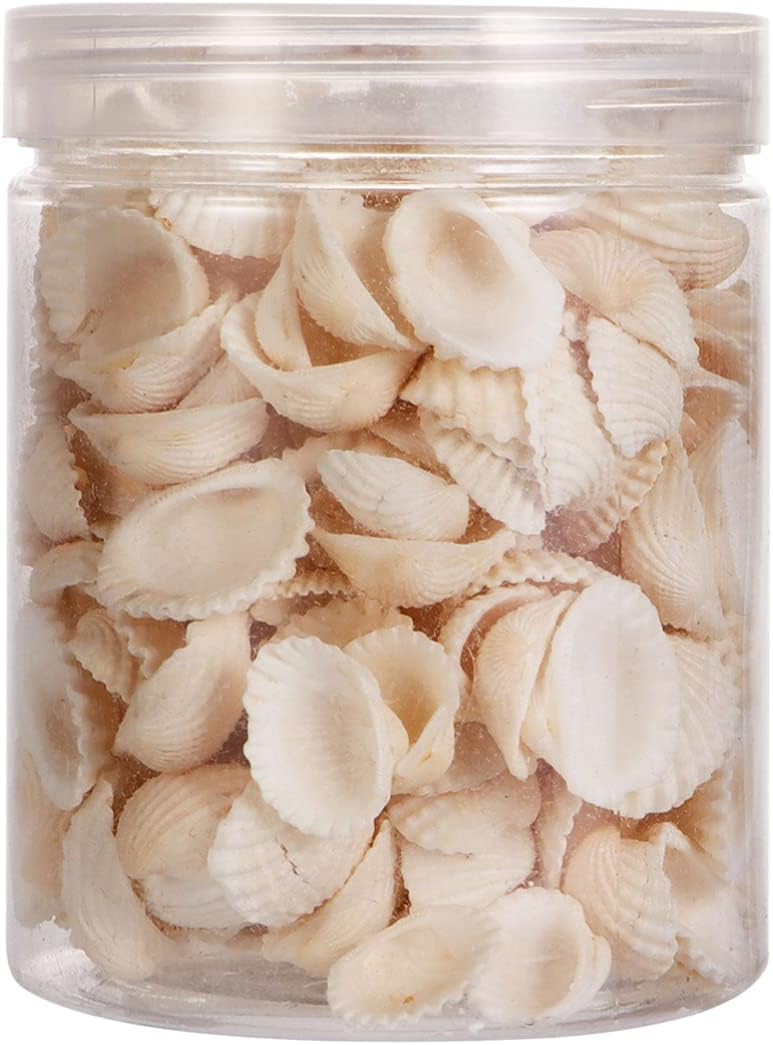 1 Pack Natural Small Scallop Shell DIY Small Sea Shells Micro Landscape Ornament Handmade Decor with Storage Bottle for DIY Art Craft Home Decor (White, About 100 Pcs)