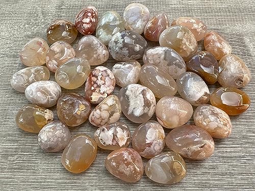 Image of 1 /2 LB Tumbled Stones - Polished Flower Agate Gemstone Healing Crystals