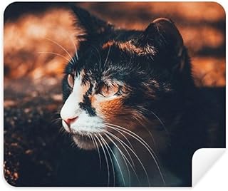 Brown Cat Stare Profile Animal Vintage Cleaning Cloth Screen Cleaner 2pcs Suede Fabric