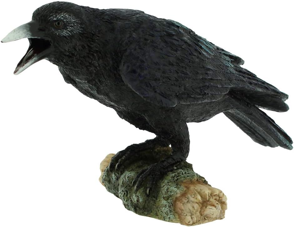 Nemesis Now Raven's Call 20cm, Black