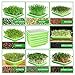 SHUESS 6 Pack Seed Sprouting Tray with Drain Holes BPA Free Nursery Tray Microgreens Growing Trays Wheatgrass Grower Sprouting Container Seed Germination Propagation Trays for Garden Home Office