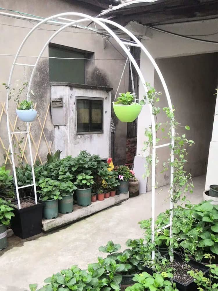 Arco de jardín de metal con revestimiento de zinc para plantas trepadoras, arco de rosas estable disponible en anchos de 120/140/180/200/240/350 cm, color blanco para jardín Det