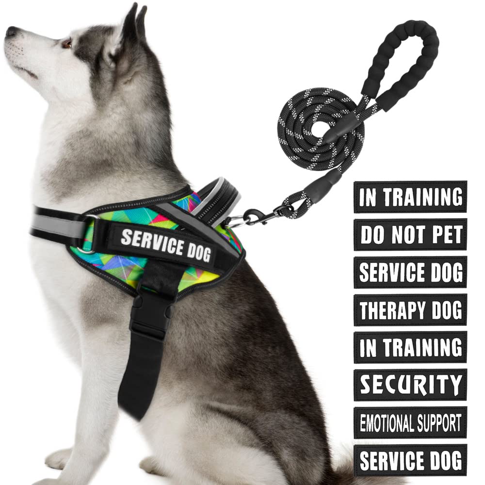Service Dog Vest Harness and Leash Set, Animire in Training Dog Harness with 10 Dog Patches, Reflective Dog Leash with Soft Handle for Small, Medium, Large, and Extra-Large Dogs (Multi-Colored,XL)