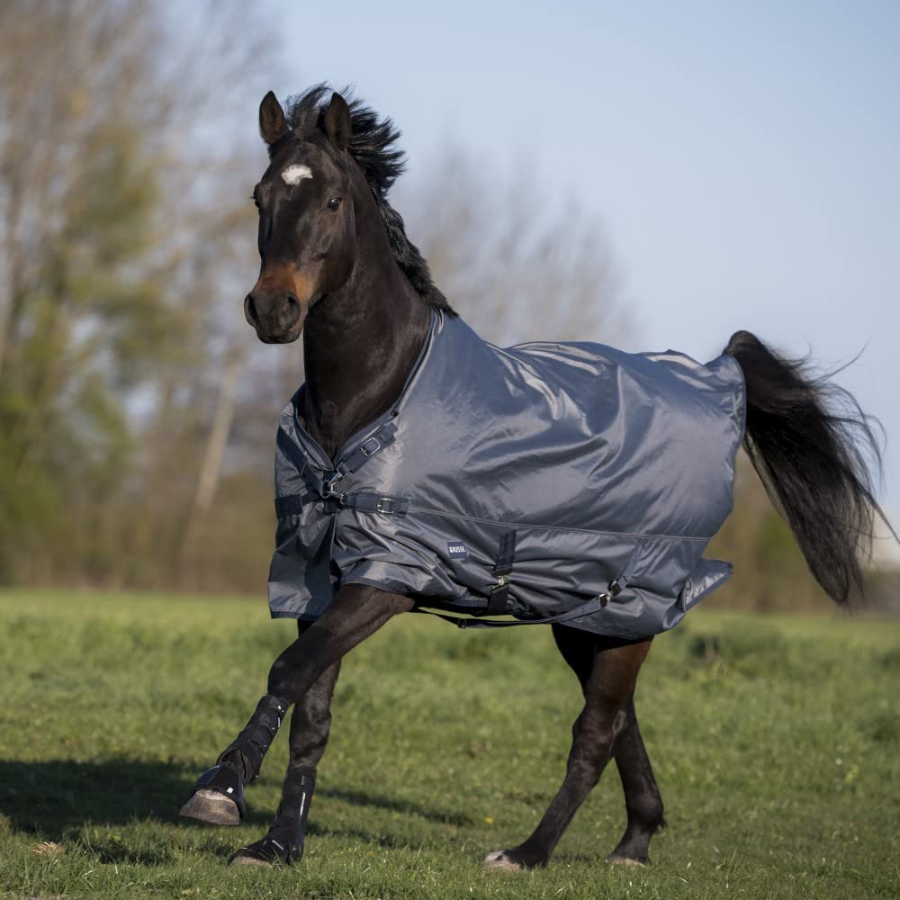 Couverture d'extérieur Busse Windchill pour protéger le cheval de la pluie fine