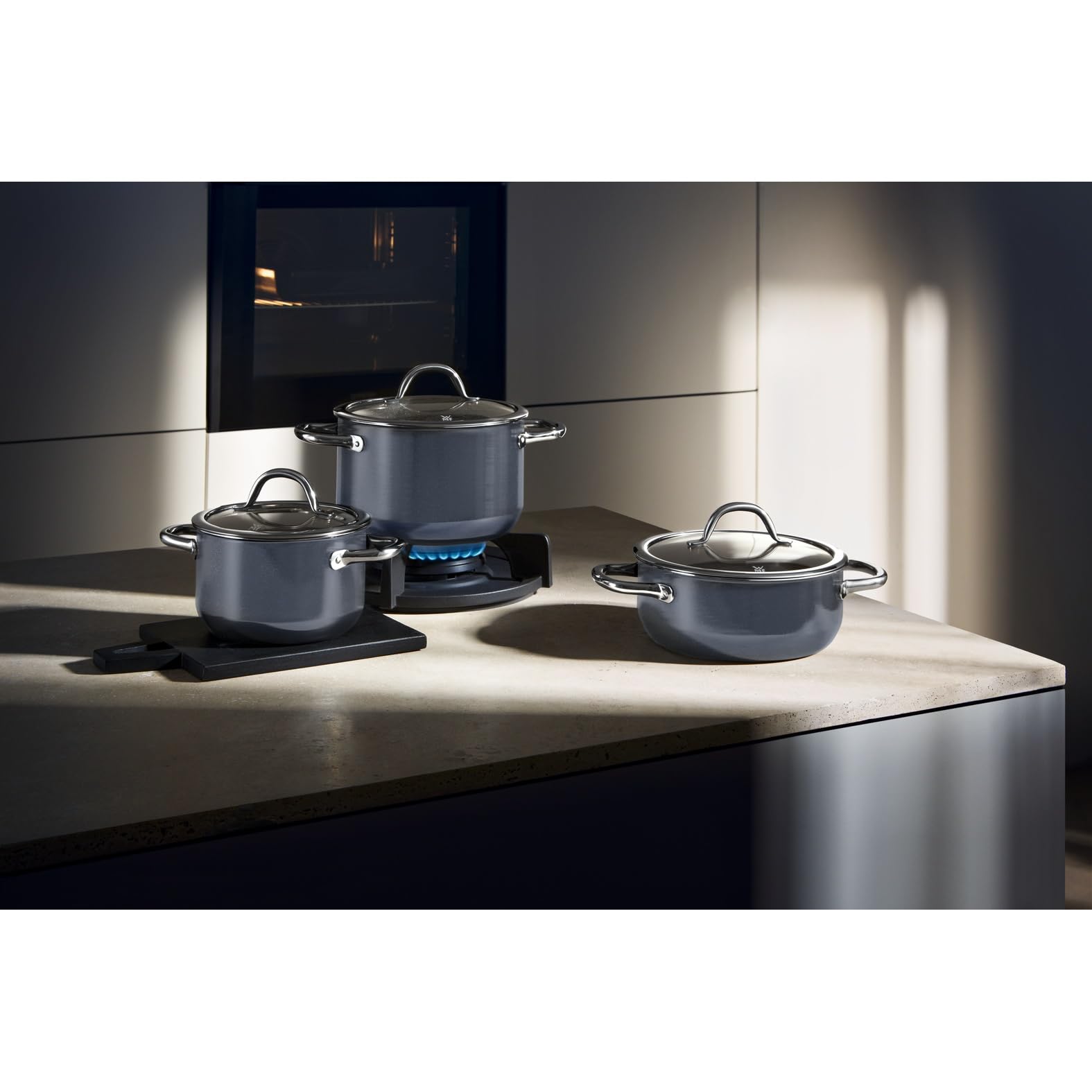 Amazon.com: WMF Fusiontec Inspire Large Cooking Pot 24 cm