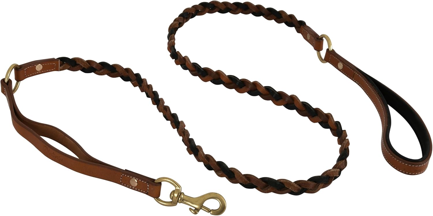 Double Handle Leather Dog Leash, 6 ft, Heavy Duty Braided, Traffic Handle for Small, Medium & Large Dogs (Charcoal)