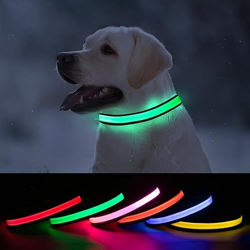 Light Up - Collar para perros medianos, collar recargable con brillo para perros, collar de nailon impermeable para pasear por la noche (verde,