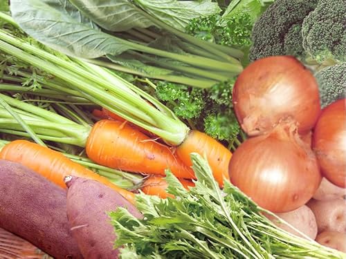 _100E{̐VN؃ZbgiViځjN[①ցiAAjjEɂ͔zł܂B_؃ZbgEG߂ɂe͕ς܂B_͔|̍؁EtEʍ؂̃ZbgłB