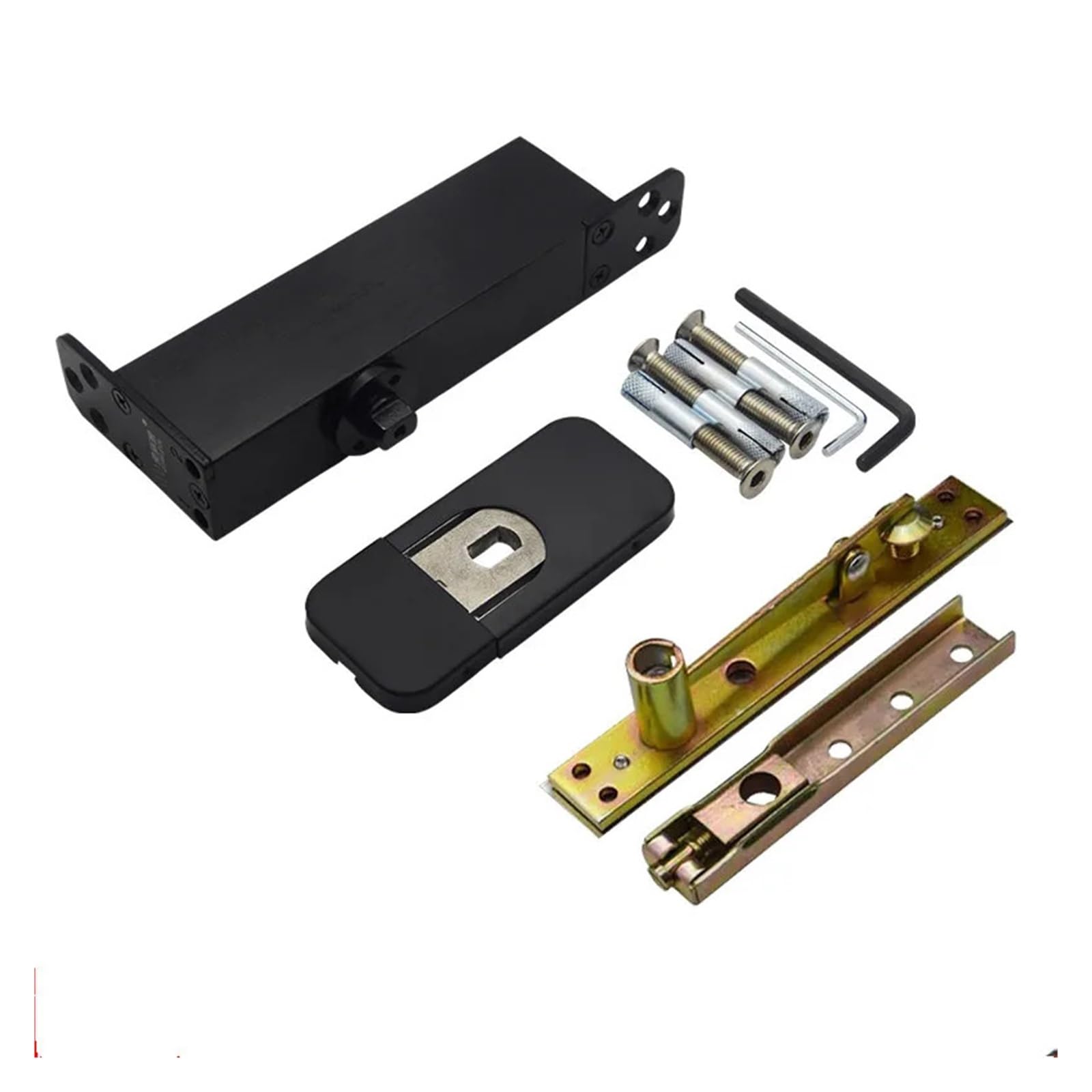 35-80kg Wooden Doors No Digging Pivot Floor Spring Hinge Closer Swing Hydraulic Hidden Hinge(AC230V)