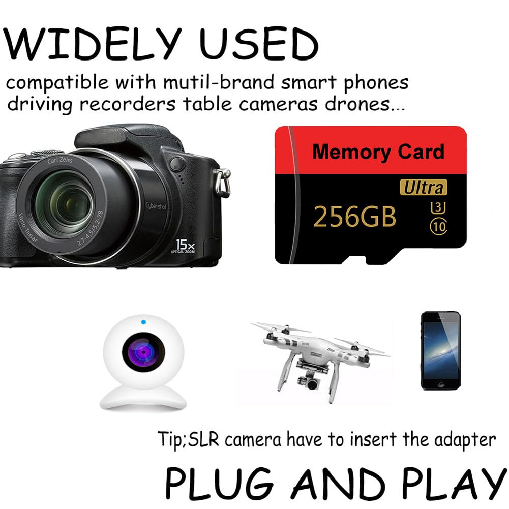 Carte mémoire 256 Go Mini carte TF ultra haute vitesse pour téléphones Android, caméras d'action, tablettes Stockage étendu