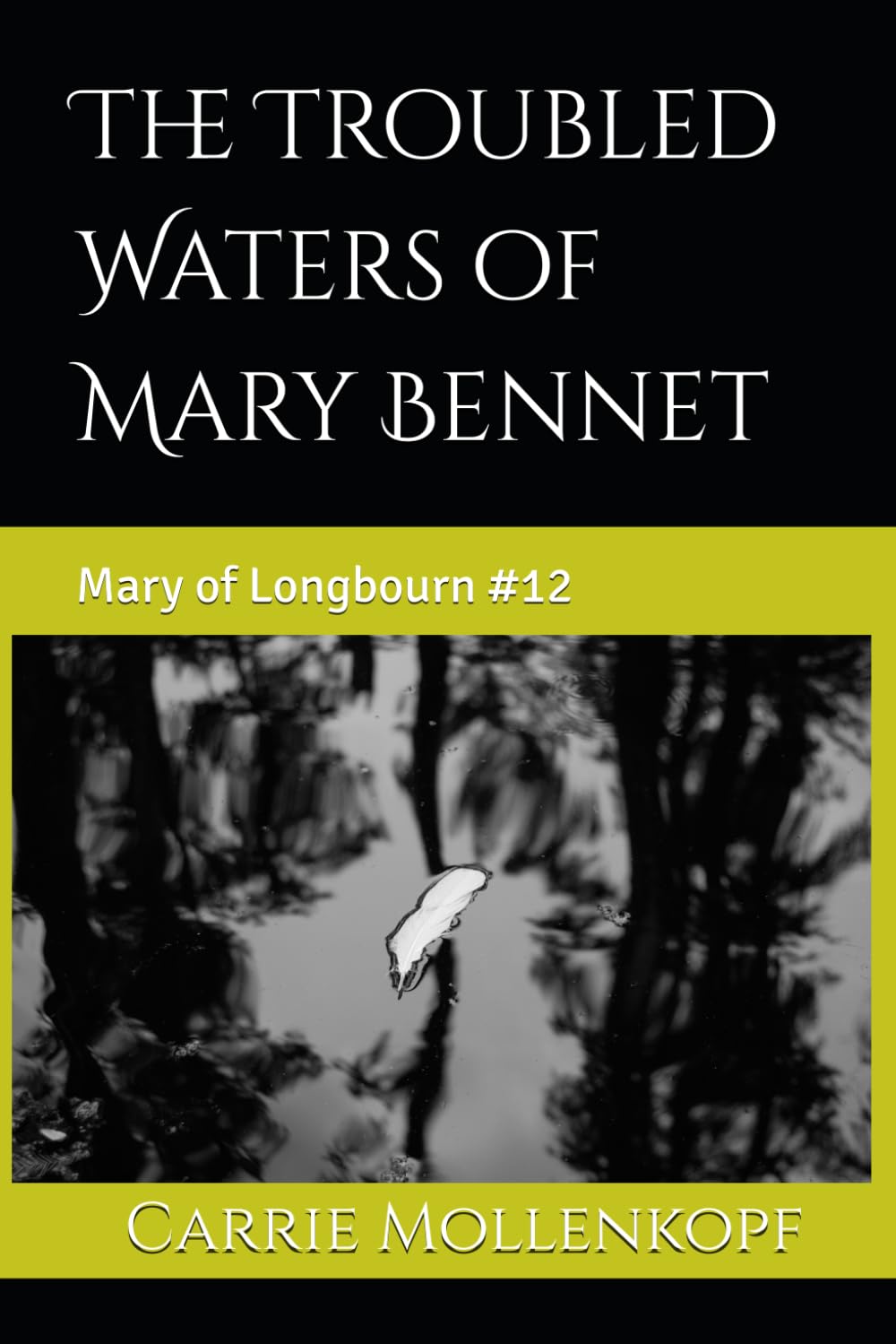 The Troubled Waters of Mary Bennet: Mary of Longbourn #12