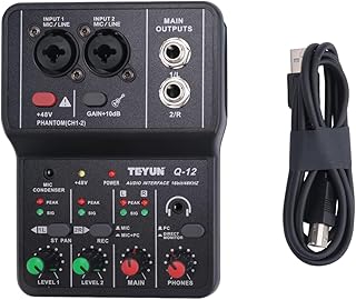 Feiouna Q-12 - Placa mezcladora de audio con tarjeta de sonido, interfaz de sistema de escritorio, 4 canales, 48 V, potencia estéreo