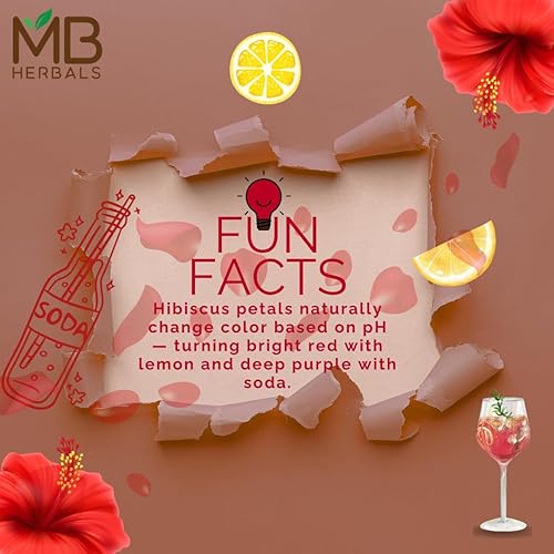Miniatura 5 de MB Herbals Hibiscus Powder  100G  3.5 oz  Hibiscus sabdariffa Flower Powder  Para té refrescante y cuidado del cabello