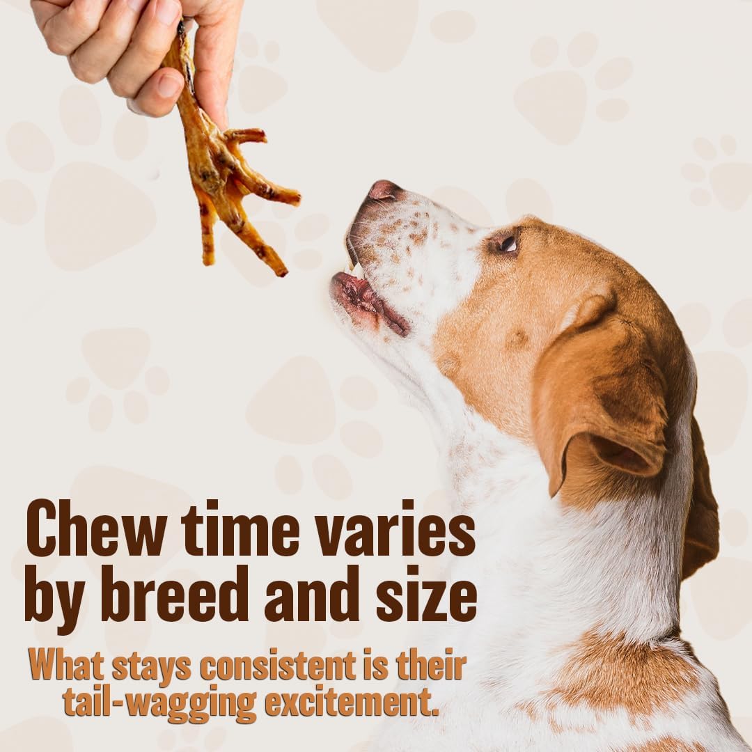 Dehydrated Chicken Feet for Dogs - Single Ingredient Dog Chews - Made in USA - 100% Digestible Chicken Foot Treats - Natural Dog Treats - Dried Chickens Treat for Dogs - 24 Count